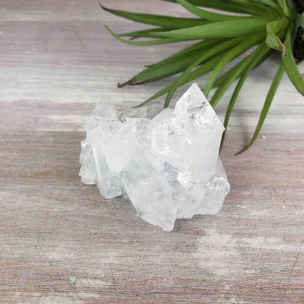 Apophyllite Cluster-9-10 inch-Specimens-Angelic Healing Crystals Wholesale