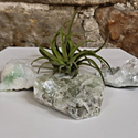 Apophyllite Cluster-9-10 inch-Specimens-Angelic Healing Crystals Wholesale