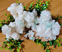 Apophyllite Cluster-3-6 Inch-Specimens-Angelic Healing Crystals Wholesale