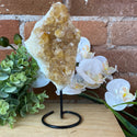 Citrine Cluster on Stand 4-12"-Specimen on Stand-Angelic Healing Crystals Wholesale