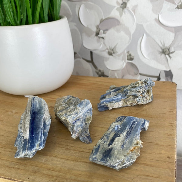 Kyanite Rough Small Specimen 2-4”-Rocks & Fossils-Angelic Healing Crystals Wholesale